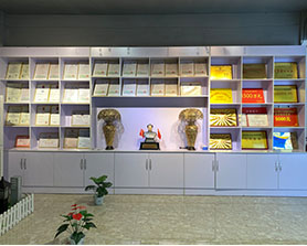 公司展厅